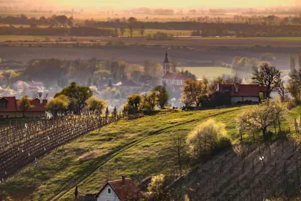 Megelevenednek Veszprém és a Bakony-Balaton régió történetei a Hello Veszprém-Balaton magazinban