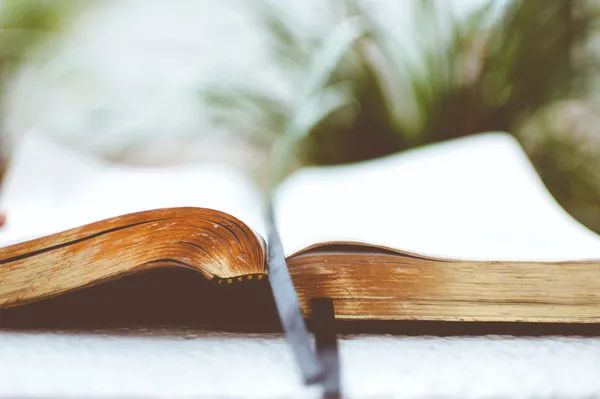 Happy birthday, Hungarian literature! | TOP 5