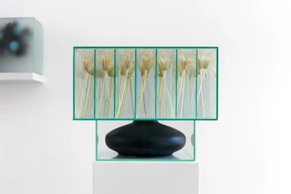 Transience trapped behind glass