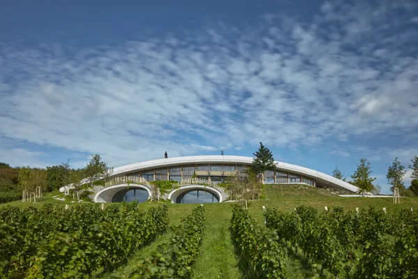 Purposeful and Poetical | Wine House by Aleš Fiala studio